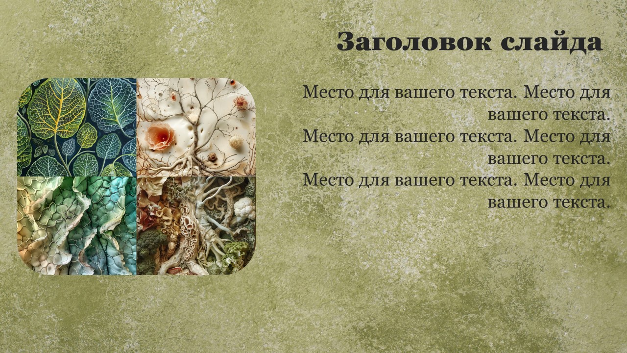 Презентация Ткани растений 