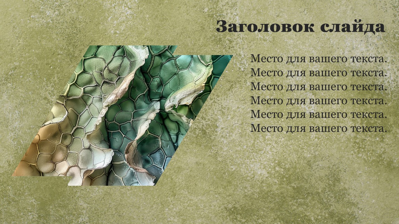 Презентация Ткани растений 