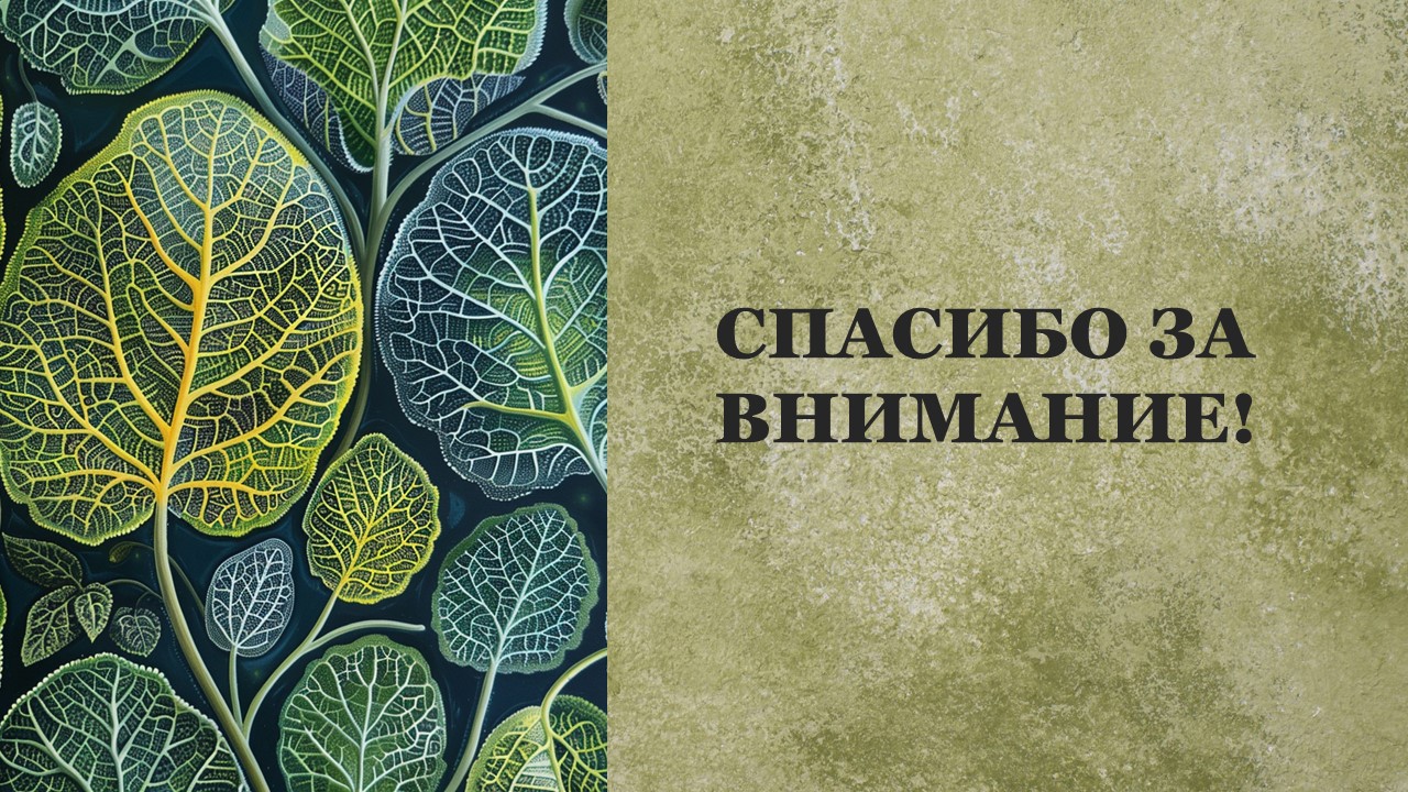 Презентация Ткани растений 
