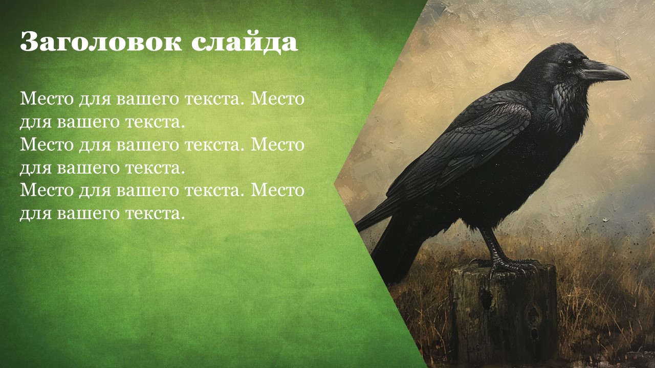 Презентация Ворона 