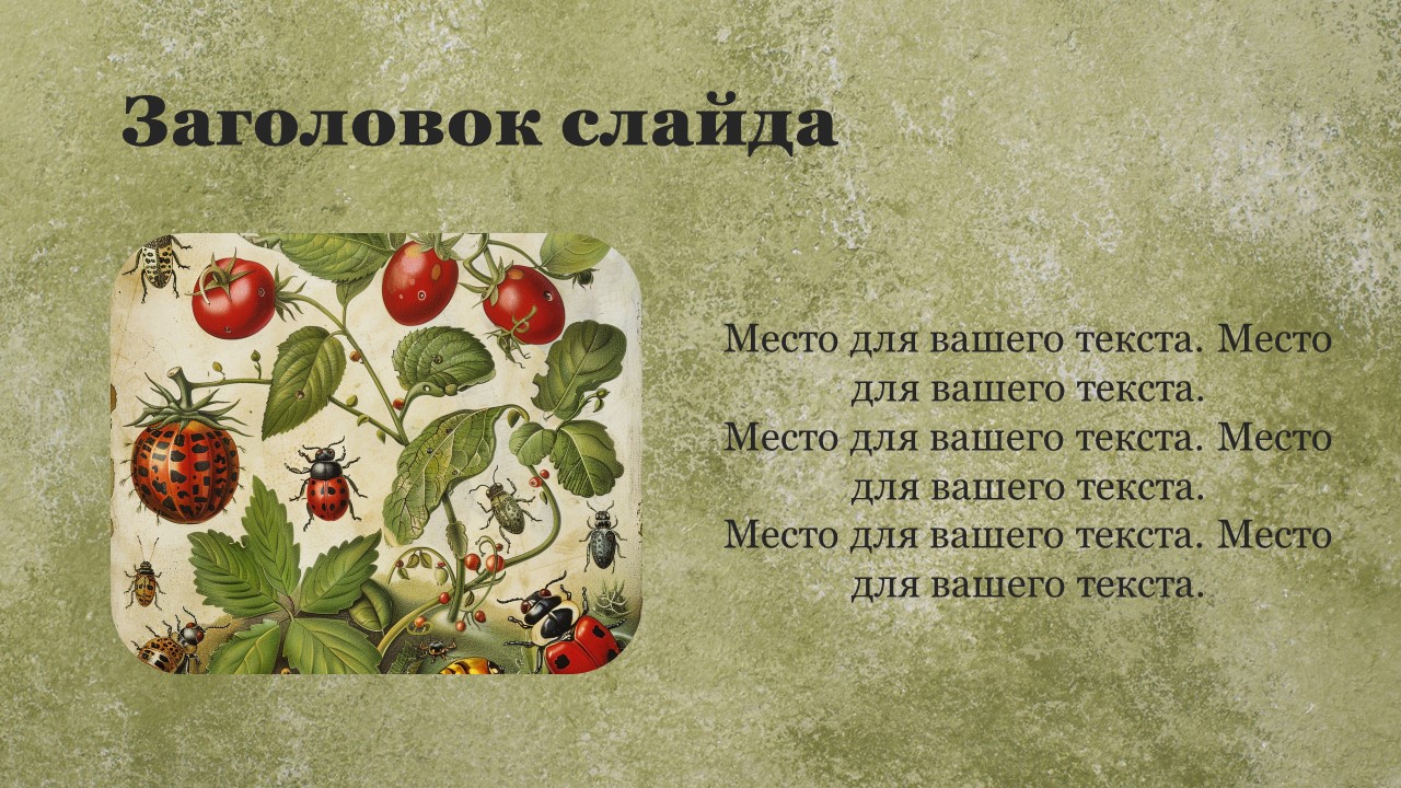 Презентация Вредители культурных растений 