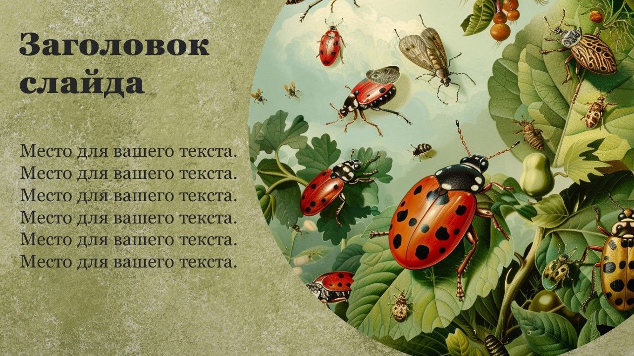 Презентация Вредители культурных растений 