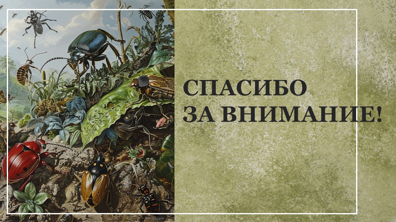 Презентация Вредители культурных растений 