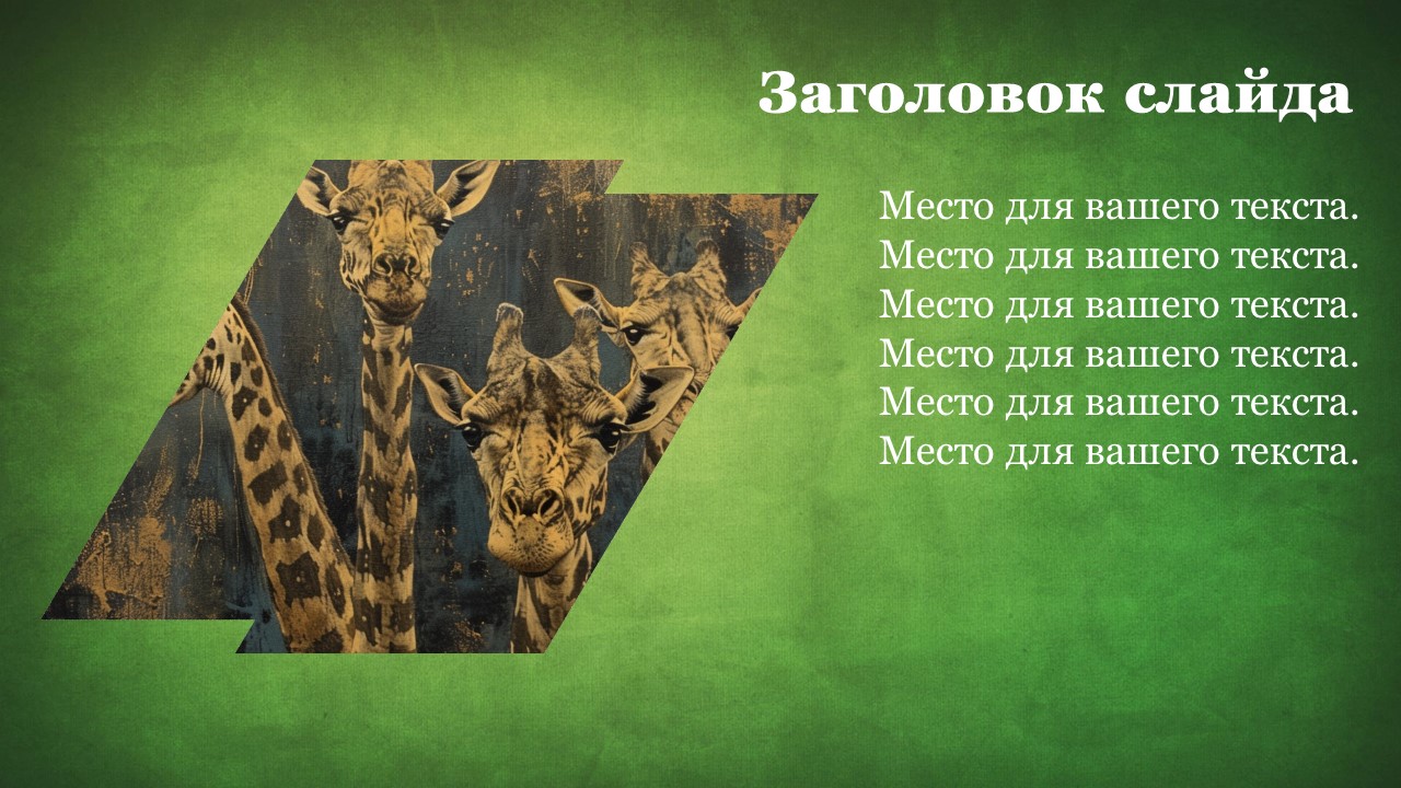 Презентация Жирафы 