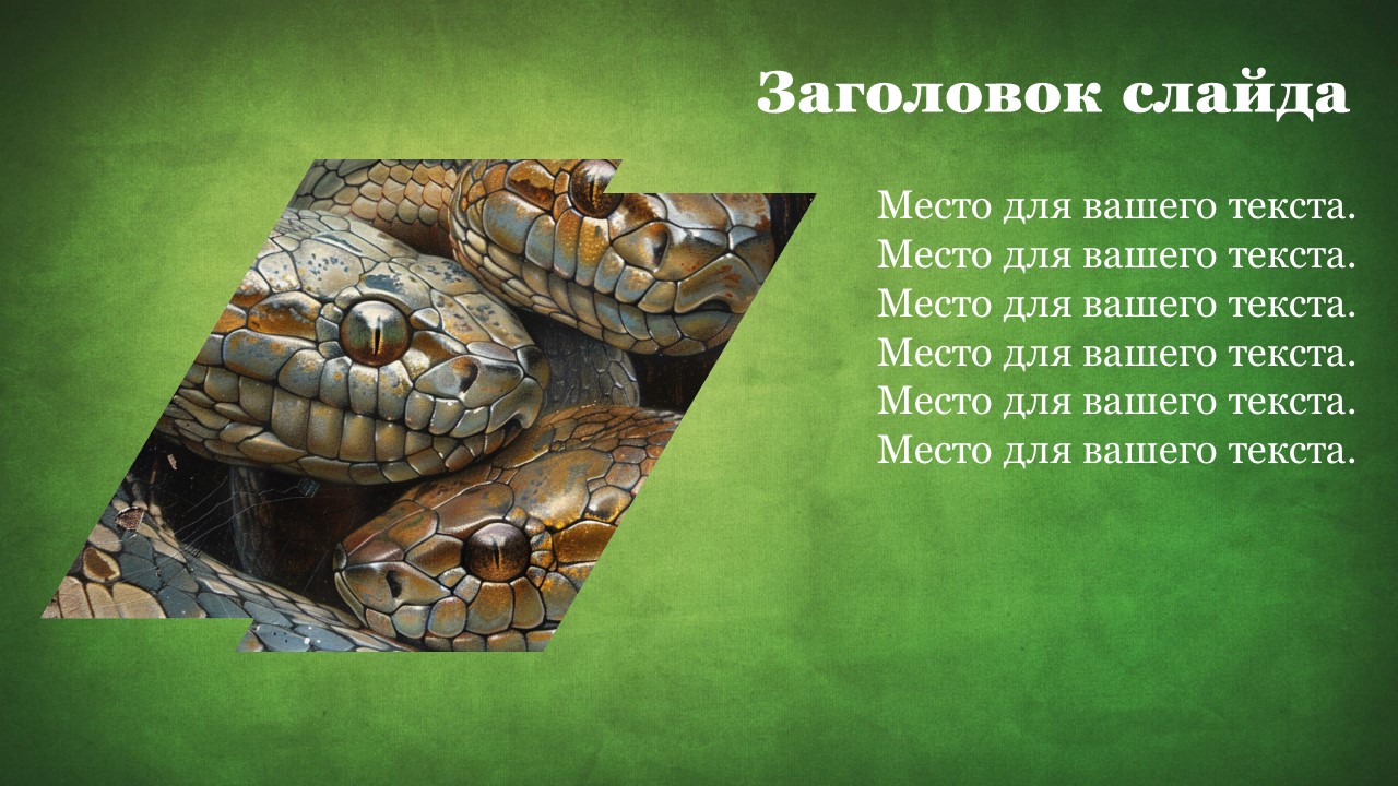 Презентация Змеи 