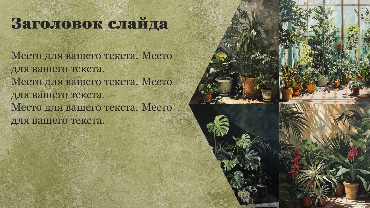 Презентация Значение растений 