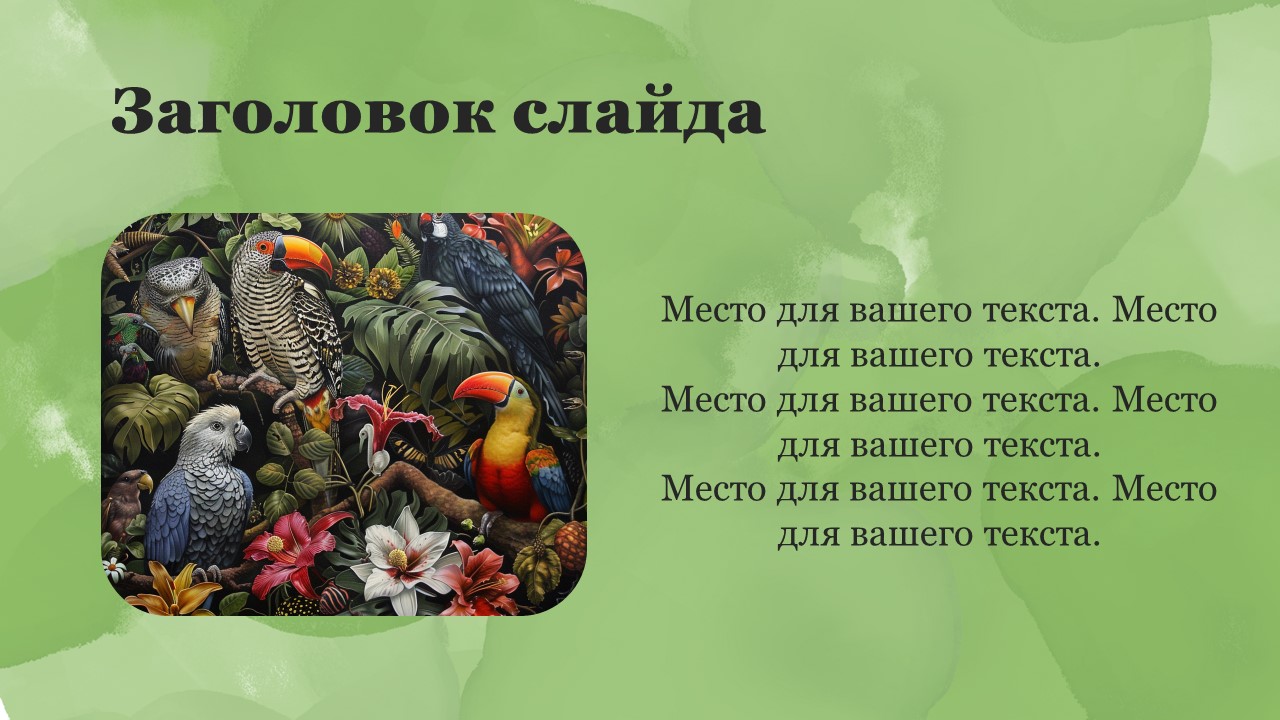 Презентация Зоология 