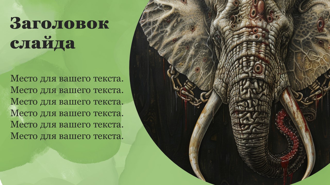 Презентация Зоология 